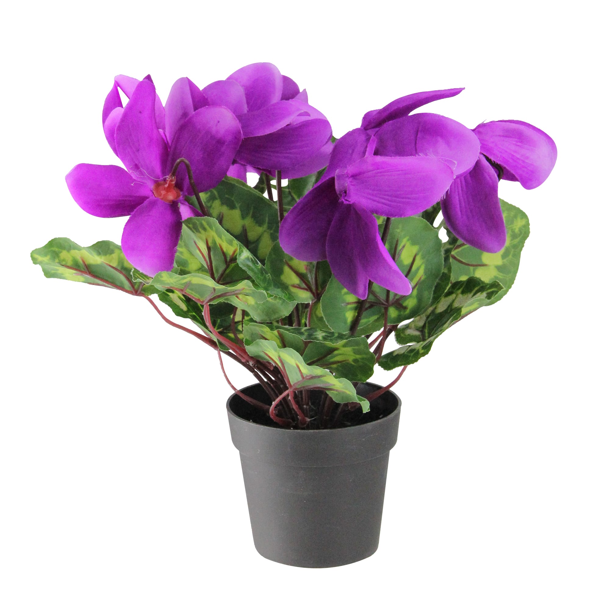 12" Decorative Purple Hedychium Coronarium with Brown Pot